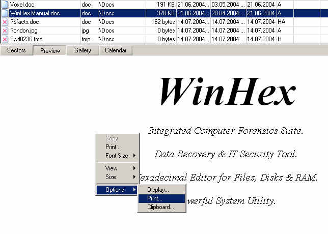 Viewer Component for WinHex/X-Ways Forensics